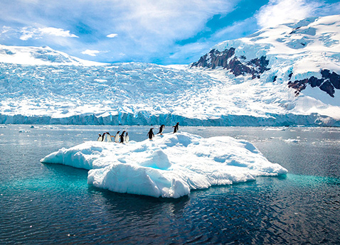 Penguins atop iceberg in Antarctica