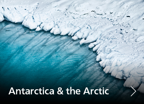 Antarctica & the Arctic